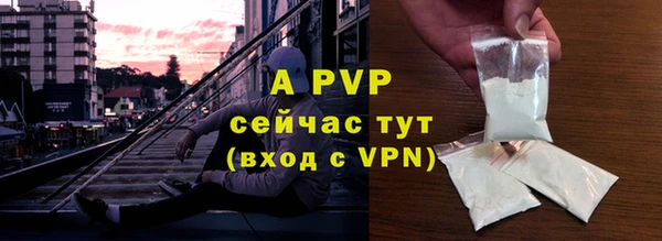 индика Тихвин