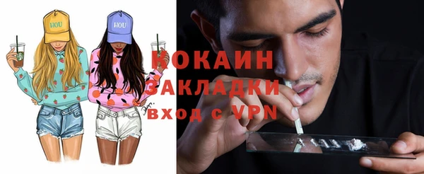 индика Тихвин