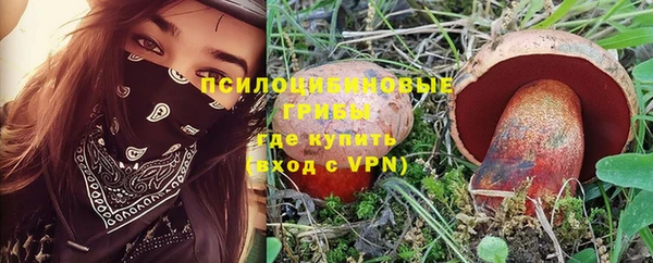 не бодяженный Тобольск