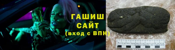 индика Тихвин