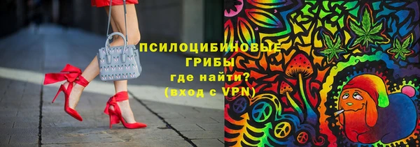 индика Тихвин